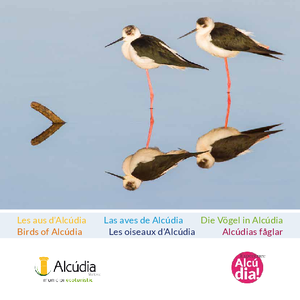Ecosistemas Aves multilingüe